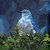 Avian Spotlight - Bluebird Stretched Canvas Wall Art