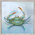 Coastal Locals - Blue Crab Mini Framed Canvas