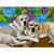 Dog Tales - Jake & Elwood Stretched Canvas Wall Art