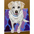 Dog Tales - Pearl Stretched Canvas Wall Art