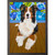 Dog Tales - Ruby II Mini Framed Canvas