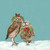 Holiday - Hot Cocoa Owls Stretched Canvas Wall Art
