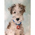 Pip At The Seaside Stretched Canvas Wall Art