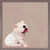 Best Friend - Daisy Pup Mini Framed Canvas