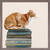 Cat On Books 1 Mini Framed Canvas