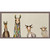 Donkey, Llama, Goat, Sheep on Cream Mini Framed Canvas