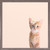 Feline Friends - Daisy Kitten Mini Framed Canvas