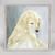 Sweet Pups - Yellow Labrador Mini Framed Canvas