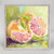 Still Life Grapefruit Mini Framed Canvas