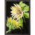 Sunflowers On Black Mini Framed Canvas