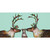 Caribou Baby Blooms Stretched Canvas Wall Art