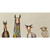 Donkey, Llama, Goat, Sheep on Cream Stretched Canvas Wall Art