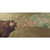 Grizzly Growl Stretched Canvas Wall Art