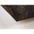 Grizzly Growl Stretched Canvas Wall Art