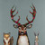 Fox, Buck & Hare - Palladian Blue Stretched Canvas Wall Art