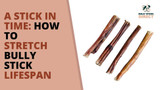 A Stick in Time: How to Stretch Bully Stick Lifespan