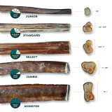 Bully Stick Thickness Guide — Thin, Standard, Thick, Jumbo, and Monster Explained