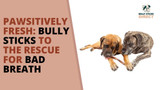 Pawsitively Fresh: Bully Sticks to the Rescue for Bad Breath