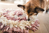 Chewsdays Challenge: 5 Ways to Make Treat Time More Interactive