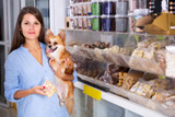 Four Things To Think About When Buying Dog Treats