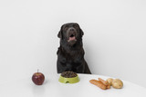 Table Scraps Can be Deadly:  Human Foods to Avoid Feeding Your Furry Friend