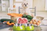 The Elimination Diet Didn't Work. Now What?