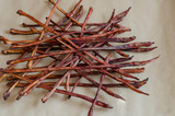 Where to Buy Bully Sticks in Bulk?