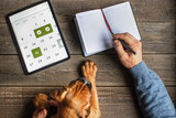 The Weekly Chew Schedule: A Rotation Planner by Dog Size and Chew Type