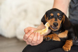 How often should I give my dog a bully stick?