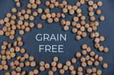 Grain-Free vs Novel Protein: What Dog Food Allergies Actually Are