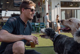 Can I Give a Bully Stick to a Dog That's Not Mine? Here's What to Know