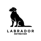 Best Treats for Labrador Retrievers With Food Allergies [2026] — The Complete Guide: Science, Products, and the Exact Protocol for Beef-Allergic Labs