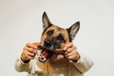 Why Is My Dog Obsessed With Bully Sticks? Understanding the Attraction