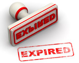 Do Bully Sticks Expire? Essential Facts Every Dog Owner Should Know