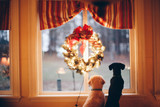 Treat Your Pup This Christmas! 6 Gifts to Eat, Play, and Enjoy