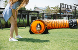 Agility Training for Dogs: Set Up a Course and Work with Fido