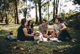 Dog Park Etiquette: Unleashing Fun and Friendship Safely