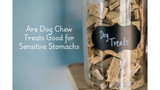 Chew on This: Why 2025 Is the Year to Focus on Your Dog's Dental Health - Bully Sticks Direct