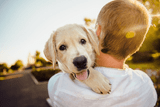 The Power of Paws - Unleash the Superhero Within Your Dog