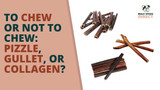 To Chew or Not to Chew: Pizzle, Gullet, or Collagen? - Bully Sticks Direct