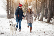 How Bully Sticks Can Reward Your Dog's Daily Strolls | Dog-Friendly Exercises - Bully Sticks Direct