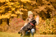 Gobble, Gobble! Treat Your Pup to Hypoallergenic Turkey Tendons! 