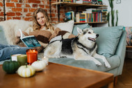 Dog Parents' Fall Survival Kit: Cozy Nights with Chews