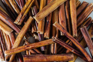 The Best Bully Sticks in Bulk: A Guide for Savvy Pet Owners