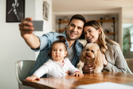 Bully Sticks and Babies — A Family Hygiene Guide for Homes With Dogs and Young Children