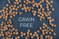Grain-Free vs Novel Protein: What Dog Food Allergies Actually Are