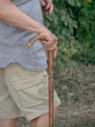 Discover the Best Bull Pizzle Walking Stick: Unique and Stylish Canes