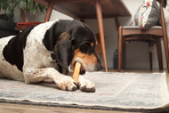 Discover the Best Odor Free Monster Bully Sticks for Happy Chewers