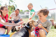 Bully Sticks for Shelters and Fosters — Decompression, Enrichment, and Supporting Adoptability for Dogs in the Rescue System