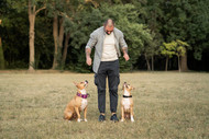 Treats: A Paws-itive Reinforcement or a Pitfall?